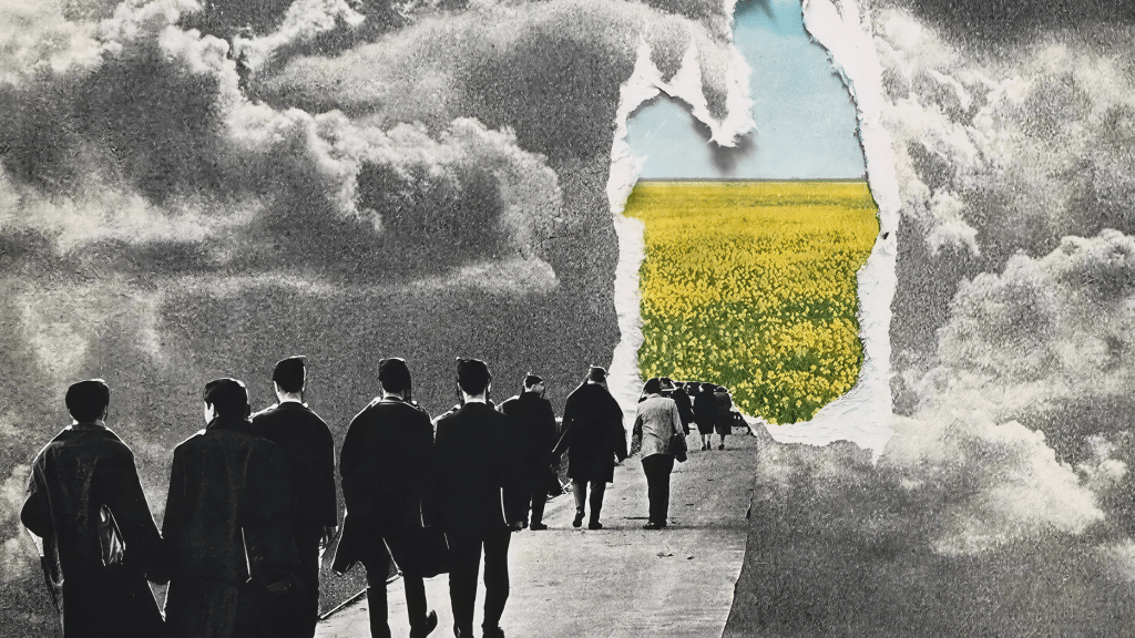 Imagination Flourishes by Thoughtful&nbsp;Design